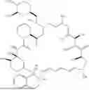 Fig. 182 - SELECTIVE RAPAMYCIN ANALOGS AND USES THEREOF