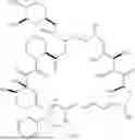 Fig. 186 - SELECTIVE RAPAMYCIN ANALOGS AND USES THEREOF