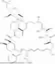 Fig. 188 - SELECTIVE RAPAMYCIN ANALOGS AND USES THEREOF
