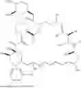 Fig. 191 - SELECTIVE RAPAMYCIN ANALOGS AND USES THEREOF