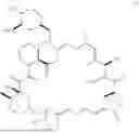 Fig. 192 - SELECTIVE RAPAMYCIN ANALOGS AND USES THEREOF