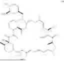 Fig. 193 - SELECTIVE RAPAMYCIN ANALOGS AND USES THEREOF