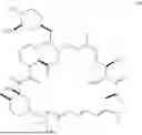 Fig. 194 - SELECTIVE RAPAMYCIN ANALOGS AND USES THEREOF