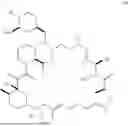 Fig. 195 - SELECTIVE RAPAMYCIN ANALOGS AND USES THEREOF