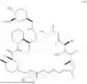 Fig. 20 - SELECTIVE RAPAMYCIN ANALOGS AND USES THEREOF