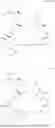 Fig. 257 - SELECTIVE RAPAMYCIN ANALOGS AND USES THEREOF