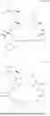 Fig. 261 - SELECTIVE RAPAMYCIN ANALOGS AND USES THEREOF
