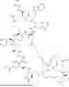 Fig. 1237 - STAPLED PEPTIDES AND METHODS THEREOF