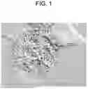 Fig. 02 - THERMOSETTING RESIN COMPOSITION AND CURED PRODUCT