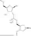 Fig. 12 - LINKAGE MODIFIED OLIGOMERIC COMPOUNDS AND USES THEREOF