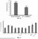 Fig. 09 - METHODS AND COMPOSITIONS FOR THE PRODUCTION OF MALONATE