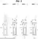 Fig. 04 - PURGE APPARATUS AND PURGE METHOD