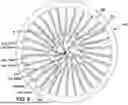 Fig. 10 - Extraction impeller for axial compressor