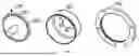 Fig. 02 - STIRRING COMPONENT FOR HARMONIC TRANSMISSION SYSTEM AND ASSOCIATED HARMONIC TRANSMISSION SYSTEM