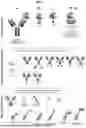 Fig. 02 - COMPOSITIONS FOR IMMUNOLABELING