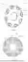 Fig. 10 - ROTOR UNIT, ROTOR, AND MOTOR STRUCTURE