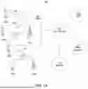 Fig. 02 - WIRELESS COMMUNICATIONS METHOD AND APPARATUS FOR SPATIAL SHARING USING CARRIER SENSE MULTIPLE ACCESS MEDIUM ACCESS