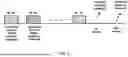 Fig. 22 - URLLC in Unlicensed Bands