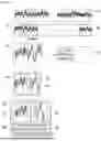 Fig. 07 - METHOD FOR EXTRACTING HEART RATE VARIABILITY FEATURE VALUE