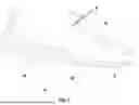 Fig. 02 - APPARATUS AND METHOD FOR CORRECTING TIP TOE WALKING
