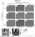 Fig. 49 - BINDER-FREE STRETCHABLE INTERCONNECT