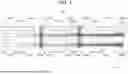 Fig. 02 - BIOLOGICAL INFORMATION ACQUISITION SYSTEM AND ELECTRODE SHEET