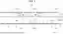 Fig. 04 - BIOLOGICAL INFORMATION ACQUISITION SYSTEM AND ELECTRODE SHEET