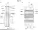 Fig. 06 - BIOLOGICAL INFORMATION ACQUISITION SYSTEM AND ELECTRODE SHEET