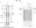 Fig. 17 - BIOLOGICAL INFORMATION ACQUISITION SYSTEM AND ELECTRODE SHEET