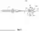Fig. 03 - DEVICE, SYSTEM AND USE OF A CATHETER SYSTEM TO RECORD AND MAP CARDIAC RHYTHM
