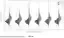 Fig. 12 - DISSECTING BETA WAVEFORMS USING CONVOLUTIONAL DICTIONARY LEARNING ACROSS SENSORY PERCEPTION, AGING, AND DISEASE