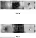 Fig. 12 - SYSTEMS, DEVICES, AND METHODS FOR THERMAL IMAGING