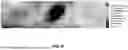 Fig. 14 - SYSTEMS, DEVICES, AND METHODS FOR THERMAL IMAGING