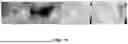 Fig. 16 - SYSTEMS, DEVICES, AND METHODS FOR THERMAL IMAGING