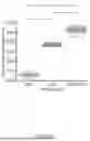 Fig. 32 - Methods And Devices For Real-Time Word And Speech Decoding From Neural Activity