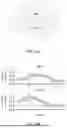 Fig. 40 - Methods And Devices For Real-Time Word And Speech Decoding From Neural Activity