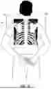 Fig. 04 - OBJECT VISUALISATION IN X-RAY IMAGING