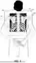 Fig. 05 - OBJECT VISUALISATION IN X-RAY IMAGING