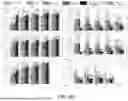 Fig. 22 - MULTI-MODAL, MULTI-RESOLUTION DEEP LEARNING NEURAL NETWORKS FOR SEGMENTATION, OUTCOMES PREDICTION AND LONGITUDINAL RESPONSE MONITORING TO IMMUNOTHERAPY AND RADIOTHERAPY
