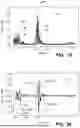 Fig. 31 - MEDICAL DECISION SUPPORT SYSTEM