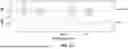 Fig. 44 - MEDICAL DECISION SUPPORT SYSTEM