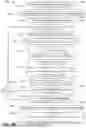 Fig. 80 - MEDICAL DECISION SUPPORT SYSTEM