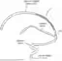Fig. 01 - SYSTEM AND METHODS FOR NAVIGATION OF CATHETERS WITHIN VESSELS