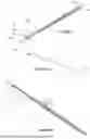 Fig. 06 - SYSTEM AND METHODS FOR NAVIGATION OF CATHETERS WITHIN VESSELS