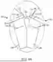 Fig. 06 - LEAFLET FRAME ATTACHMENT FOR PROSTHETIC VALVES