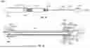 Fig. 41 - SYSTEM AND METHOD FOR CRIMPING AND LOADING A PROSTHETIC HEART VALVE