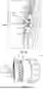 Fig. 43 - SYSTEM AND METHOD FOR CRIMPING AND LOADING A PROSTHETIC HEART VALVE