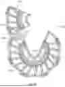 Fig. 62 - SYSTEM AND METHOD FOR CRIMPING AND LOADING A PROSTHETIC HEART VALVE