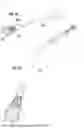 Fig. 20 - SURGICAL HEART VALVES