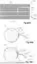 Fig. 77 - STRETCHING DEVICE